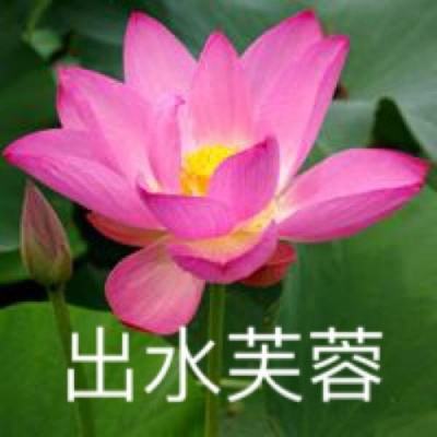 火娃降妖记官方版下载